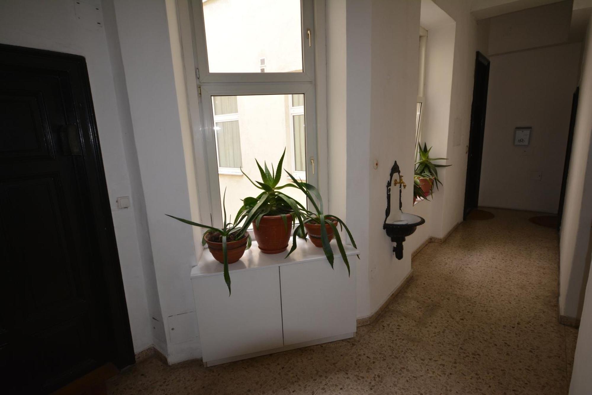 Vienna Holiday Apartments Exterior photo